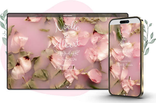 Model My Life, tematica ORIGINAL